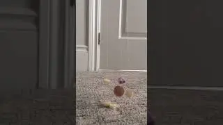 daily tim uploads?? #fypシ #foru #timthebuttonpuppet #foryoupage #craft #puppet  #tiktok #viral #art