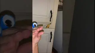 EVIL BANANA CHASES PUPPIES