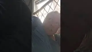 Каждой твари по паре