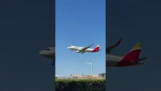 Iberia A320 neo #planespottinglfpo #planeaccident #aviation #airplane #trending