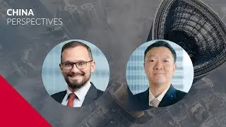 An Update on China&rsquo;s LGFV Debt Substitution Programme
