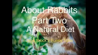 About Rabbits Part 2 ~ A Natural Diet (Feeding Your Pet Rabbit)