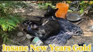 Это лучшее золото, которое я когда-либо находил! #поискзолота #золото