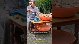 Revolutionary Manual Arecanut Dehusker for Small Farmers! Amazing Areca nut Dehusking Tool You Need!