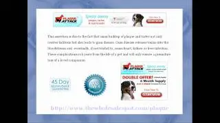 Plaque Attack Spray Deemed Safe by Veterinarians for Pet Plaque and Tartar Removal