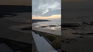 beach flowers and waves