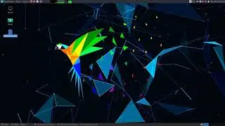 How to install java SE 13 oracle JDK on parrot os