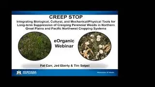 Integrated Management of Field Bindweed and Canada Thistle in Organic Cropping Systems