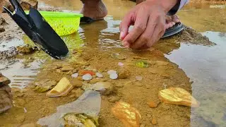 Gold Rush! Digging for Gold Nuggets at Mountain, Mining Exciting #GoldDiscovery