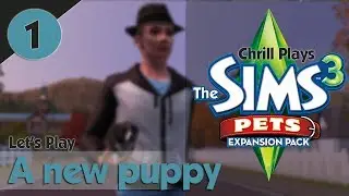 Chrill Plays: The Sims 3 Pets - a new puppy (Part 1)