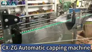 Automatic Bottle Capping Machine for Packaging Lines | High Efficiency Sealing
