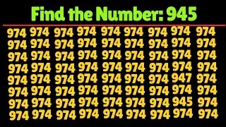 Can you Find the Number 