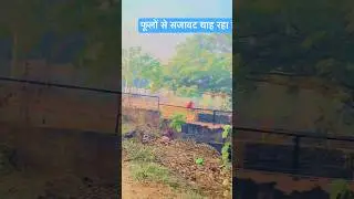 फूलों से चेहरा तेरा 😎❤️ #hindisong #bollywood #song #love #music #trending #gadgets #funny #viral