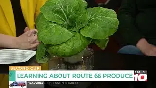 Route 66 Produce's Amarillo Winter Farmers Market to continue until April