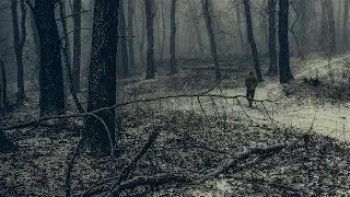 Second to Sun - The Walk (Full-length : 2018)