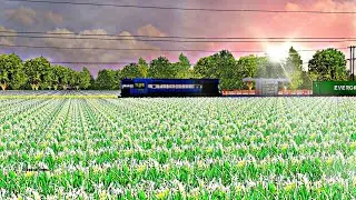 Microsoft Train Simulator Game Pc Gameplay IR MSTS Video