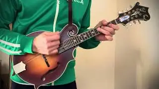 #63 【Practice】 Mandolin - Backing   Key G