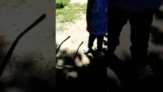 LITTLE BULLY STOMPS NERD'S GLASSES!
