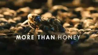 More Than Honey trailer
