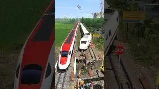 3 High Speed Trains Crossing a Train Switching Tracks #railway #railtrack #railroad #train #kereta