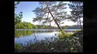 Estonia Landscapes