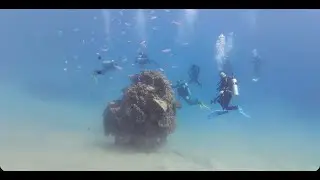 2025 12 4K 1-1 Marsa Alam Check Dive Coraya Divers