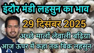 29 December 2025 indore mandi lahsun ka bhav 
