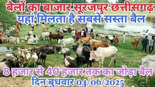 यहां मिलता है सबसे सस्ता बैल |bail Bajar Surajpur||बैल बाजार सूरजपुर #surajpur#bajar#sabji#ambikapur