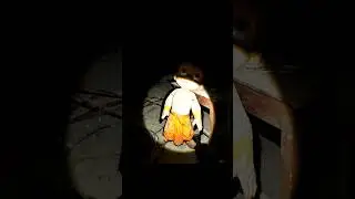 Chhota Bheem Found in Real Life (DO NOT WATCH AT NIGHT) 🚫🦉
