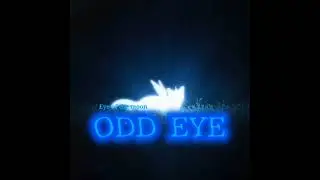 DITTOLAND / EYE OF THE MOON 