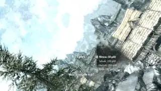 Skyrim - Intro Cart Flying Around Like CRAZY