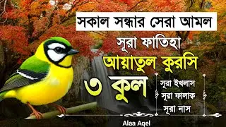 Sura fatiha ayatul kursi 3qul | quran recitation | Ayatul kursi 3qul surah | Alaa Aqel quran tilawat