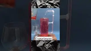 The Magic Mug #Experiment#CrazyScience #MagicMug #ViralExperiment