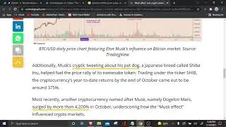 $StarL Metaverse Project & the Elon 