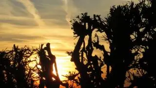 170325 North Rode Sunset