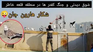 گشت بسیار عالی کفتر ها در منطقه دور دست ( قلعه خاطر) شکار کفتر هارون جان 😜 ❤شوق شاهی❤