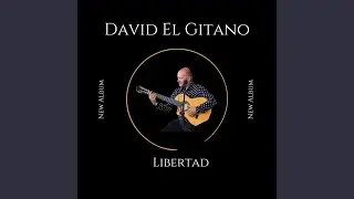 Libertad