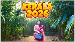 Chennai to Thekkady Road Trip! 🌿 Kerala Travel Vlog (Ep. 1)