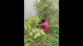 dd fishing