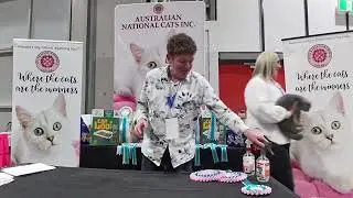 Cat Lovers Festival Sydney, 2025, Judge: Aaron Heiler