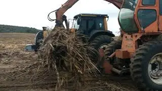 trator de casquinha puxando reboque na usina campo limpo