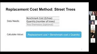 Valuation Approaches to Natural Assets (Trees) Workshop