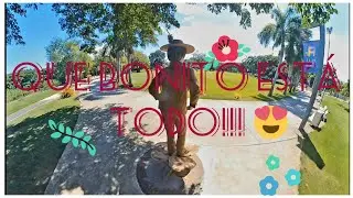 Increible lo que pude ver en el Parque Luis Muñoz Marín!! - DRIVING IN PUERTO RICO