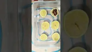 Lemon Science Experiment Doesn't Have To Be Hard, Here Are My Tips 🍋