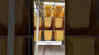 Переработка натурального каучука в Таиланде #RubberProcessing #Thailand