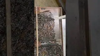 #dryiceblasting #film #buildup #from #trays #maintenance #industrialmaintenance #cleaning #clean