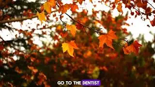Autumn Humor: 10 Hilarious Jokes & Puns to Brighten Your Fall Days