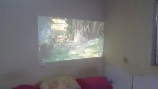 Optoma TH1060P