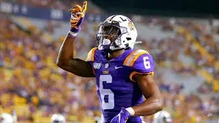 LSU WR Terrace Marshall Jr. 2019 Highlights 🐯 ᴴᴰ