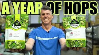 We're Giving Away a Year of Cryo Hops | Free Beer Friday